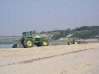 LIMPIEZA PLAYAS 01  ECOLOGIA